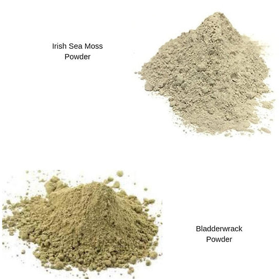 Irish Sea Moss/ Bladderwrack & Burdock Root